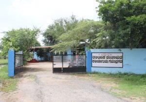 IMG-20251008-WA0053(1)